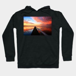 The signs Hoodie